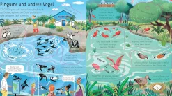 Aufklappen und Entdecken: Das Leben im Zoo