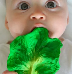 Beißspielzeug | Grünkohl Kendall the Kale