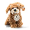 Cockapoo Curlie | 24 cm