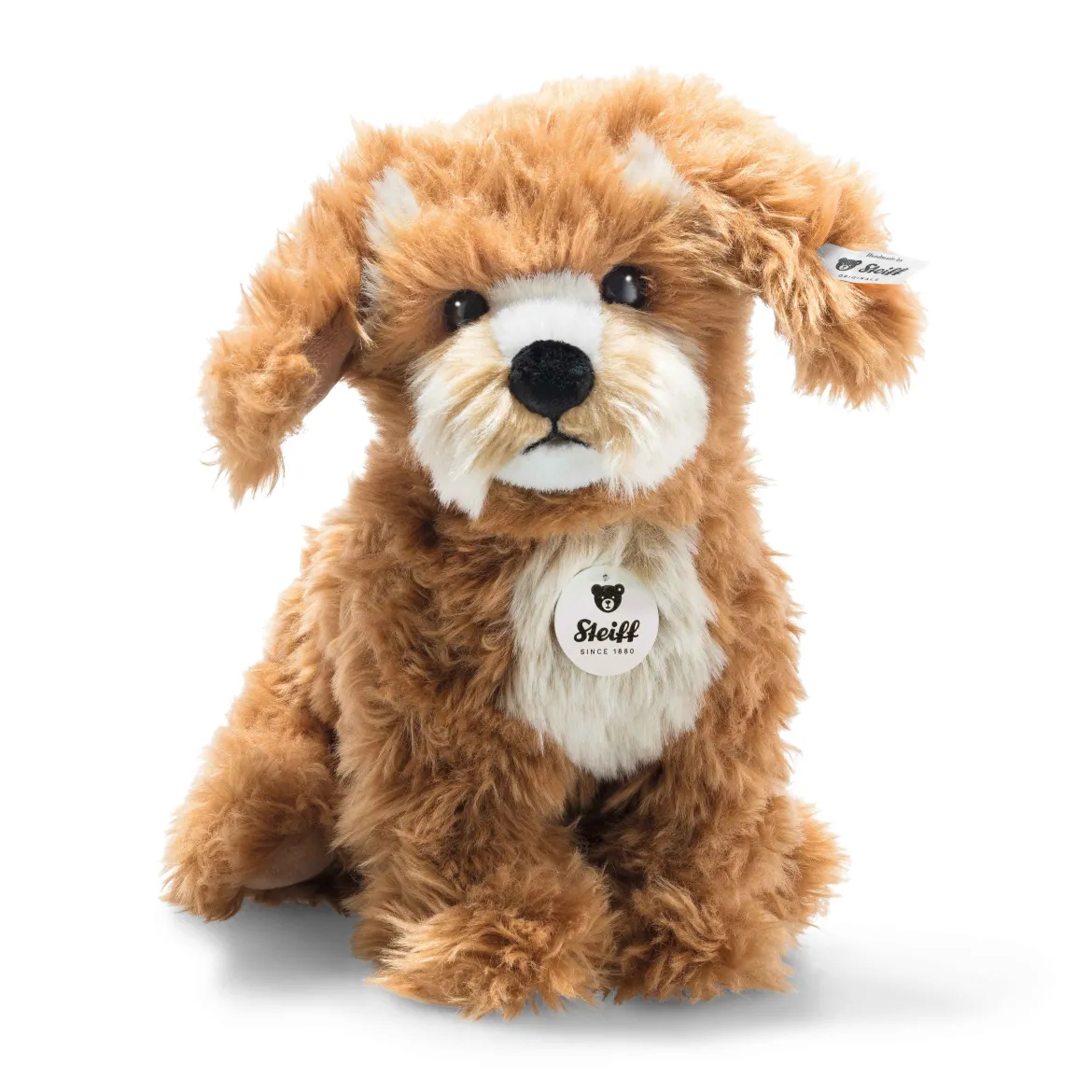Cockapoo Curlie | 24 cm