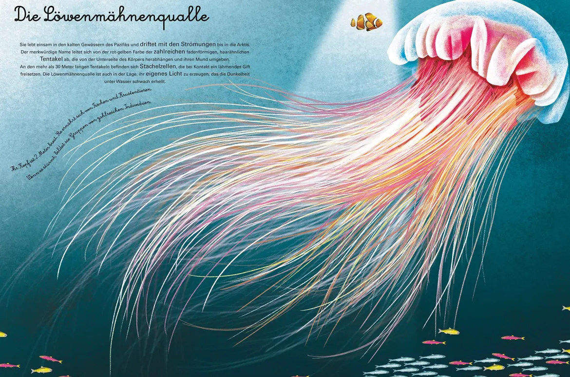 Das groβe Buch der Seetiere. Das kleine Buch der Seetiere