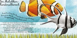 Das groβe Buch der Seetiere. Das kleine Buch der Seetiere