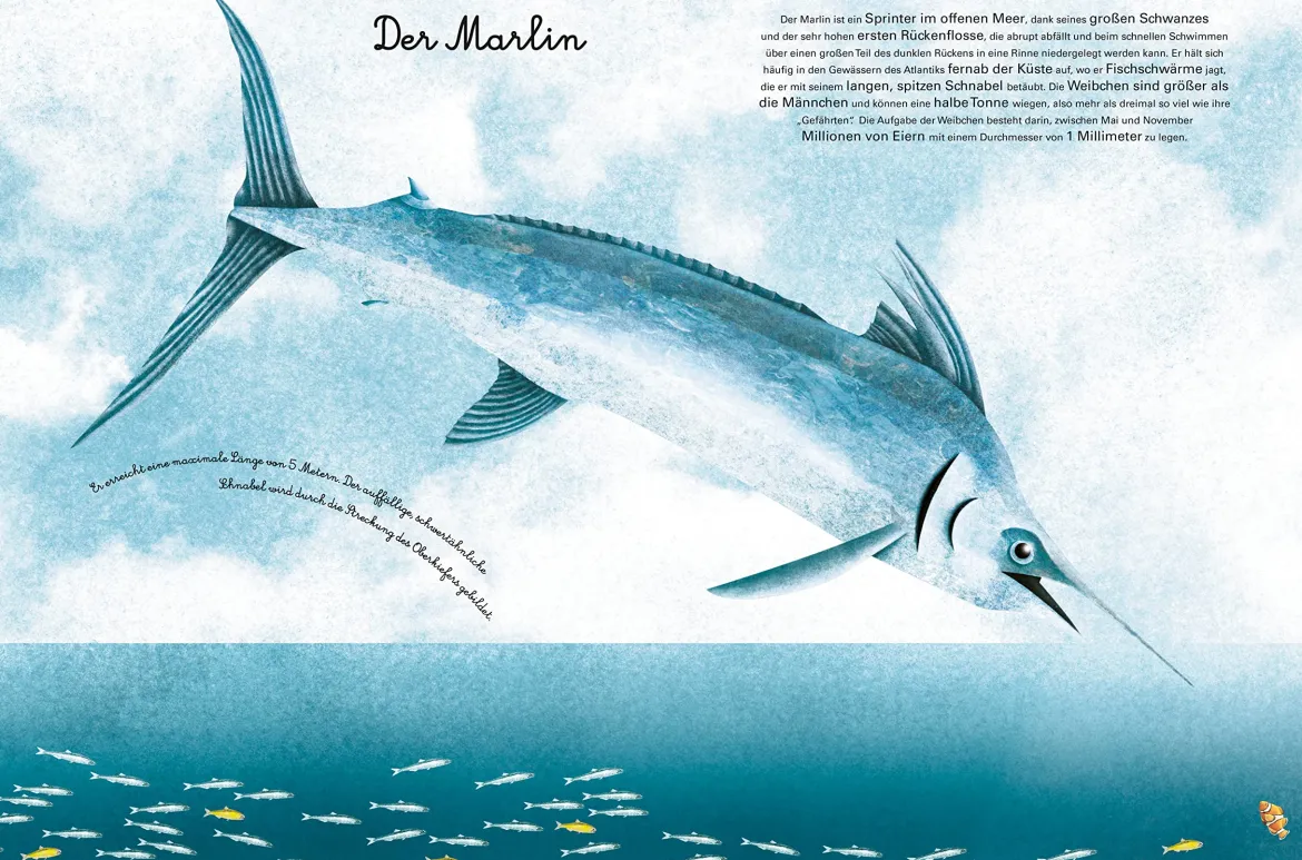 Das groβe Buch der Seetiere. Das kleine Buch der Seetiere