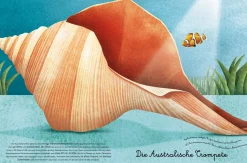 Das groβe Buch der Seetiere. Das kleine Buch der Seetiere
