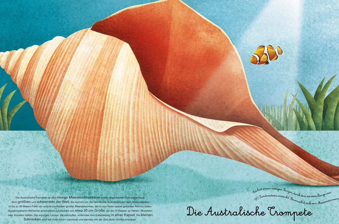 Das groβe Buch der Seetiere. Das kleine Buch der Seetiere