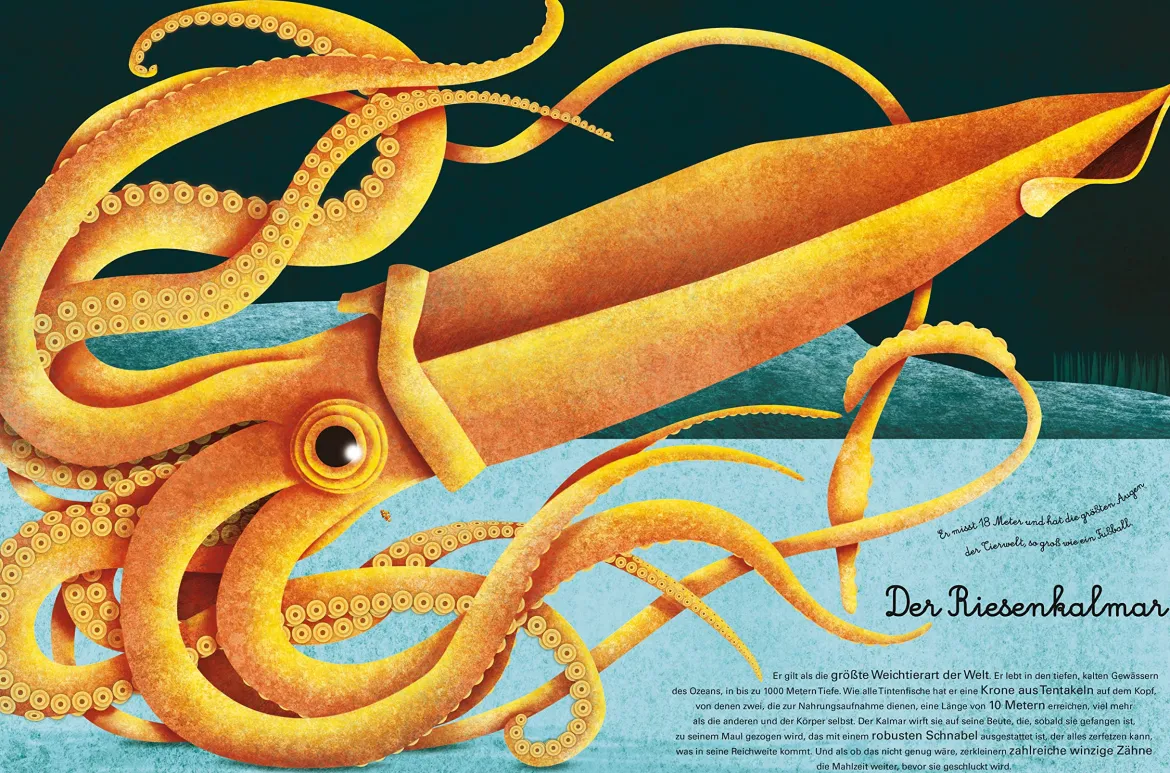 Das groβe Buch der Seetiere. Das kleine Buch der Seetiere