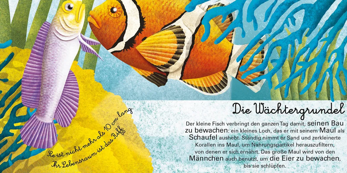 Das groβe Buch der Seetiere. Das kleine Buch der Seetiere