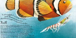 Das groβe Buch der Seetiere. Das kleine Buch der Seetiere