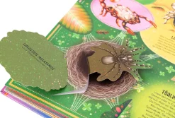 Das unglaubliche Pop-up-Buch Insekten