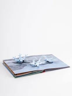 Das Wetter. Pop-up-Buch