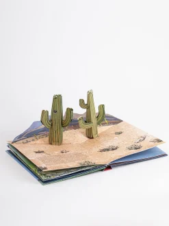 Das Wetter. Pop-up-Buch