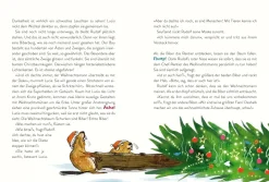 Die Weihnachtssuperhelden. Verflixt und zugeschneit