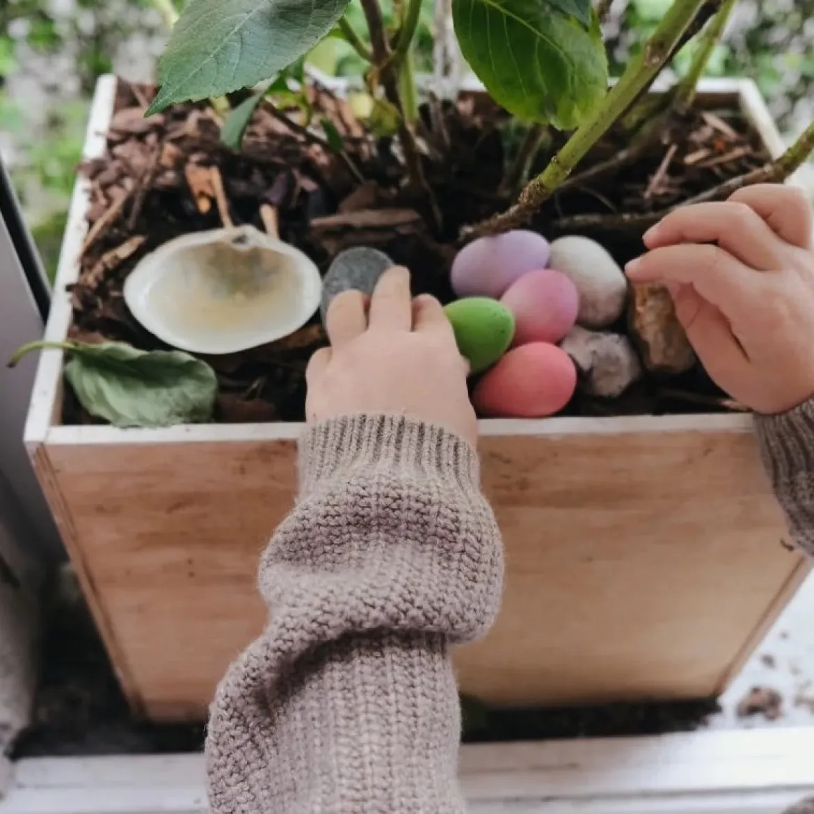 Happy Eggs | 12 bunte Eier