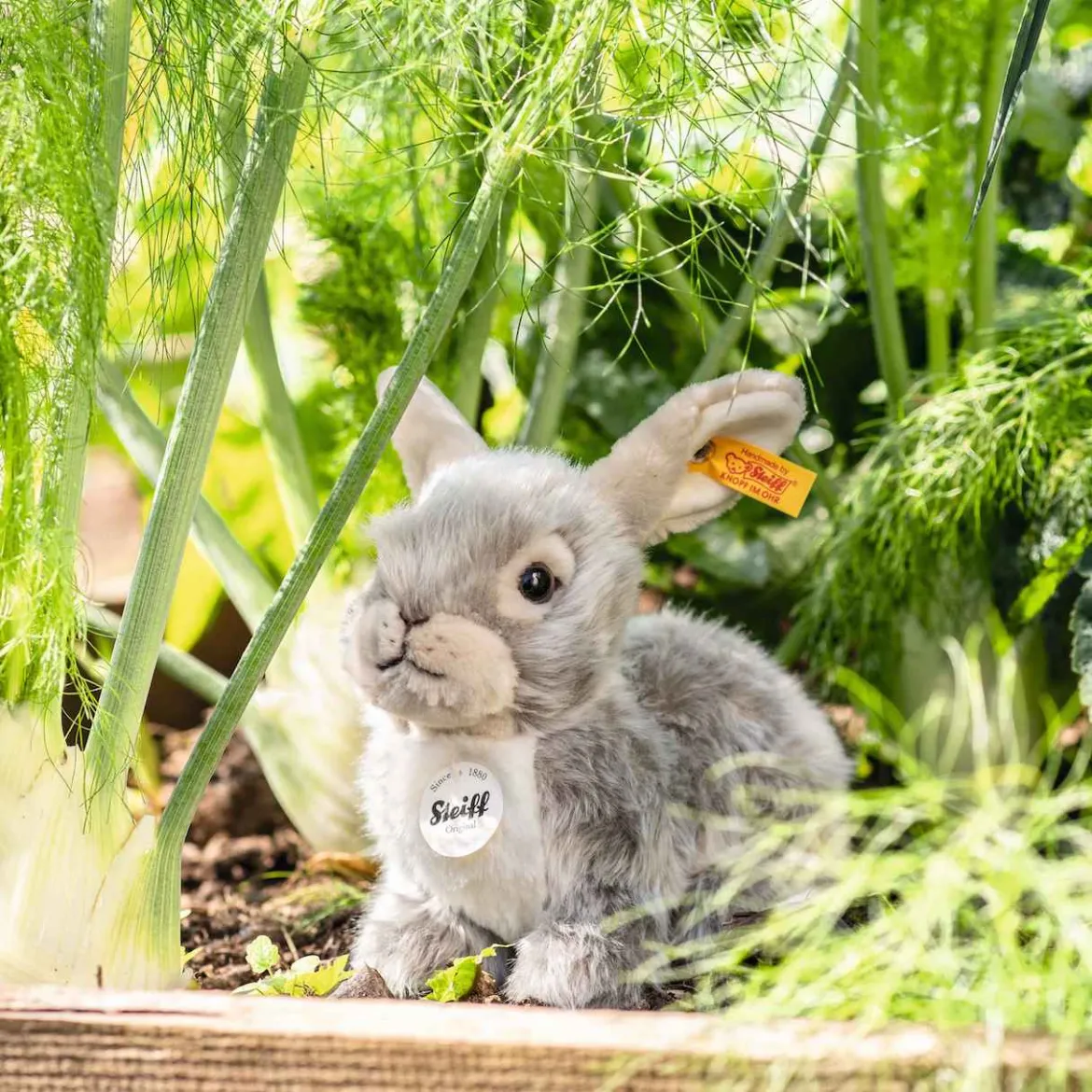Hase Dormili | 21 cm