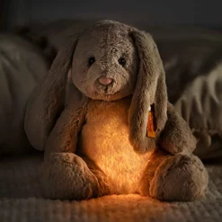 Hase Hoppie | Light at Night