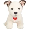 Hundewelpe Russell | 25 cm