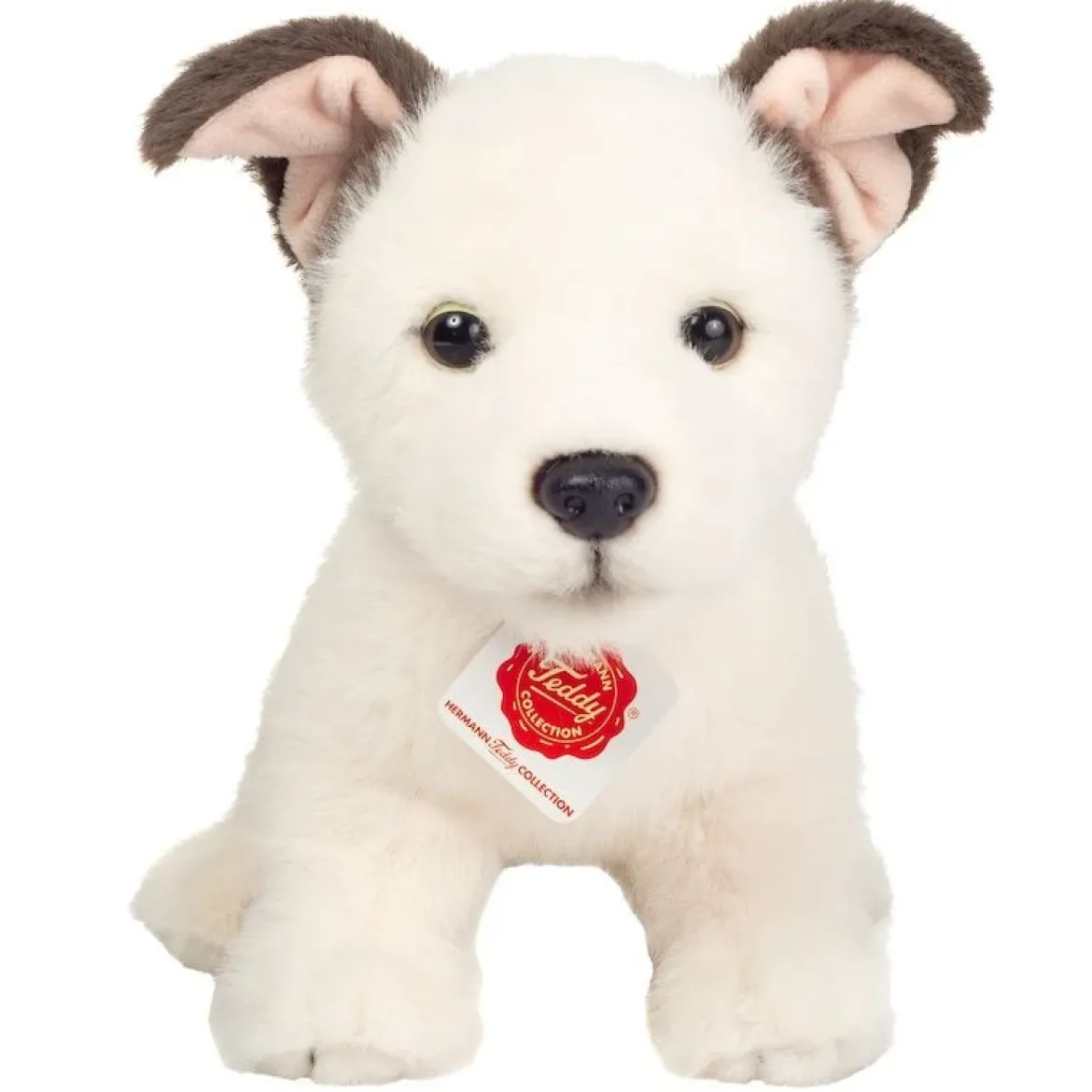 Hundewelpe Russell | 25 cm