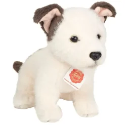 Hundewelpe Russell | 25 cm