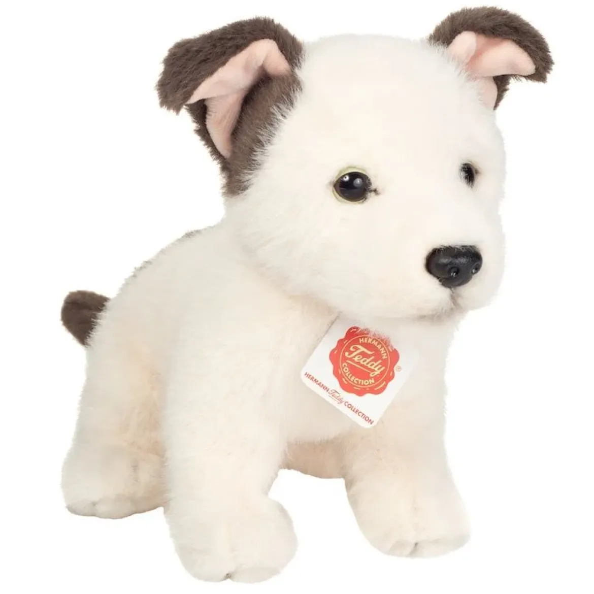 Hundewelpe Russell | 25 cm