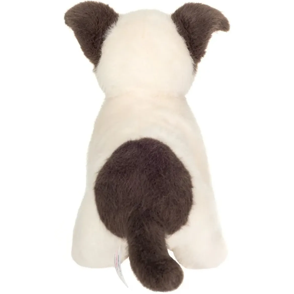 Hundewelpe Russell | 25 cm