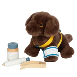 Hund mit Tasche und Pflege-Set
