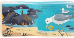 Komm mit nach draußen! - Tiere am Meer
