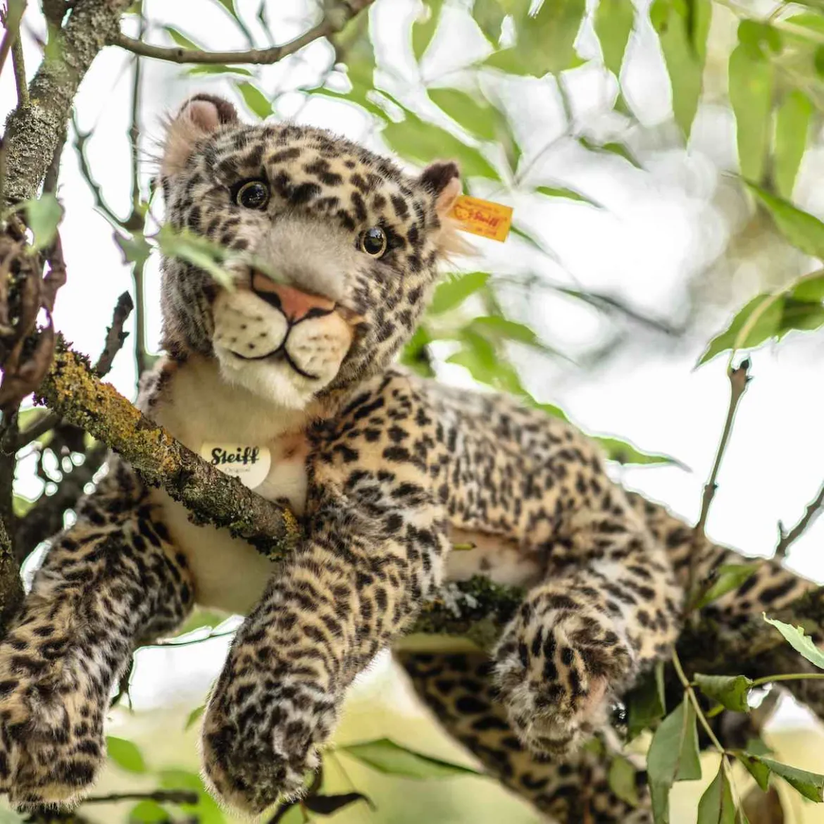 Leopard Parddy | 36 cm