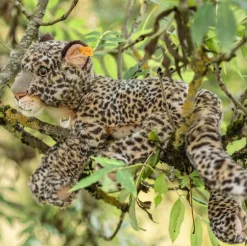 Leopard Parddy | 36 cm