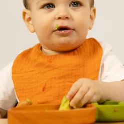 Lätzchen aus Bio-Baumwolle | Cathy the Carrot
