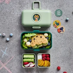 Lunchbox Bento-Box | Greenforest