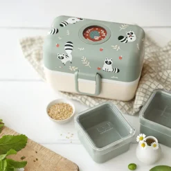 Lunchbox Bento-Box | Raccoon