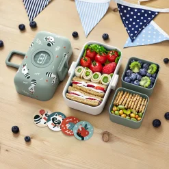 Lunchbox Bento-Box | Raccoon