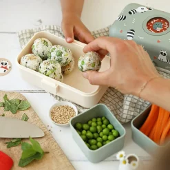 Lunchbox Bento-Box | Raccoon