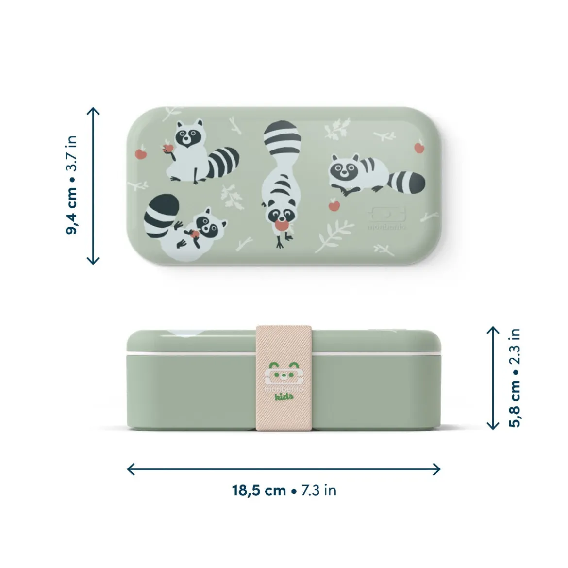 Lunchbox Foodie | Raccoon