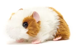 Meerschweinchen | 18 cm