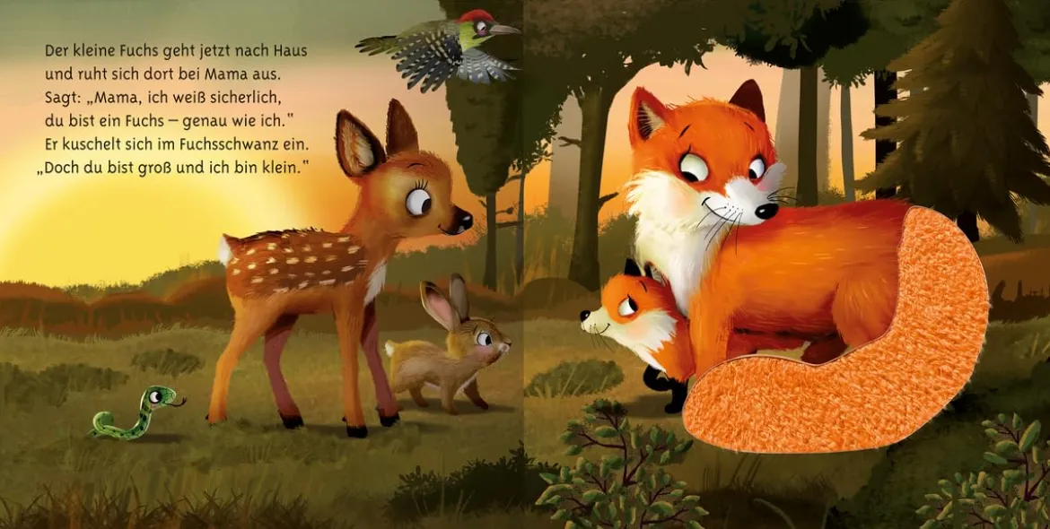 Mein erstes Vorlese-Fühlbuch: Bist du ein Fuchs?