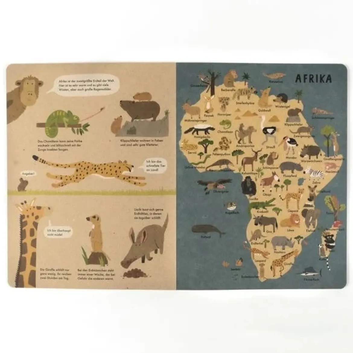 Mein großer Tieratlas