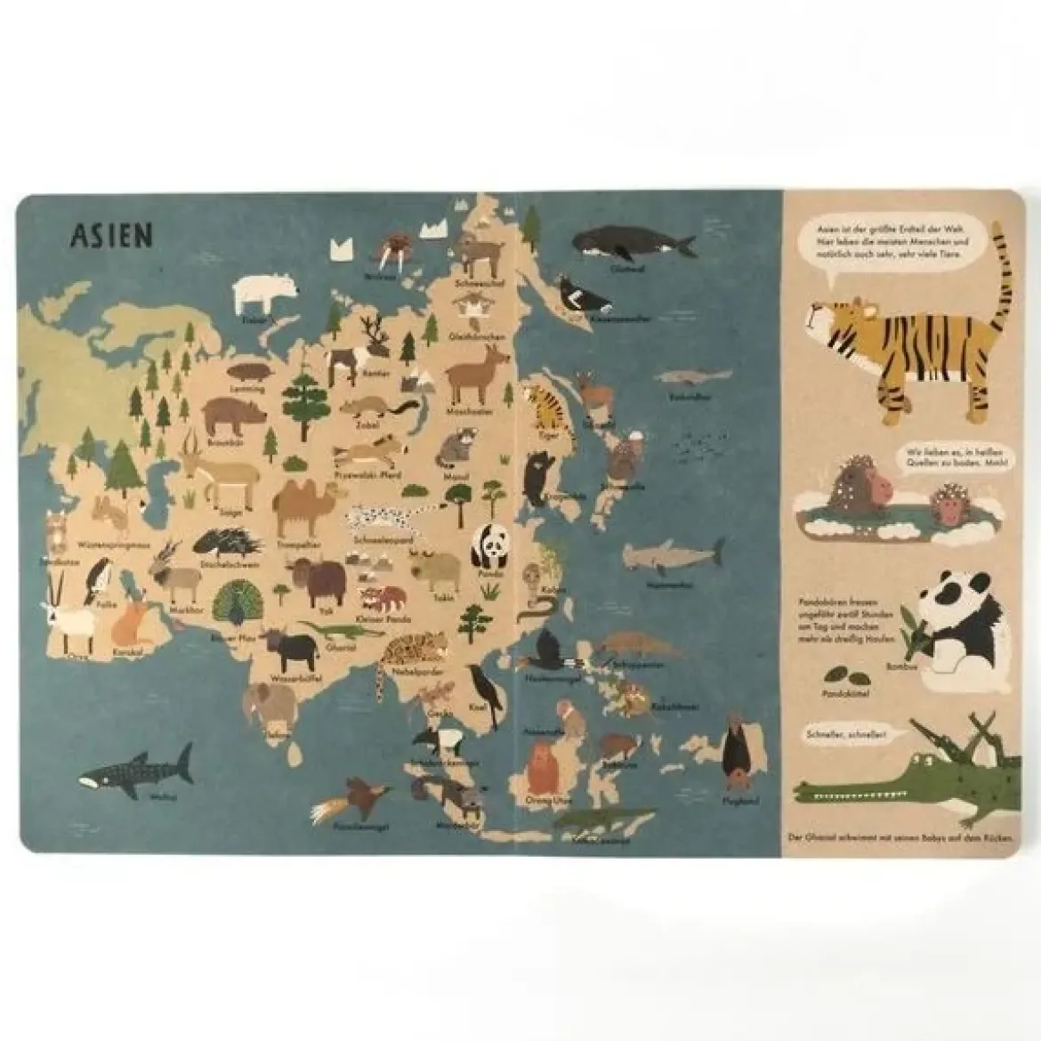 Mein großer Tieratlas