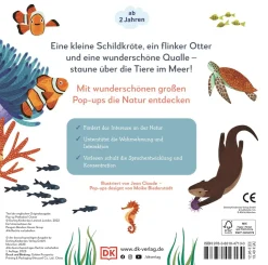 Mein Pop-up-Buch zum Staunen. Wer lebt im Meer?