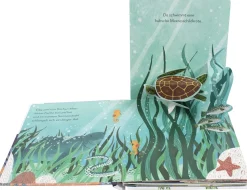 Mein Pop-up-Buch zum Staunen. Wer lebt im Meer?