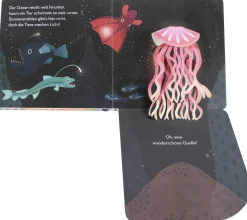 Mein Pop-up-Buch zum Staunen. Wer lebt im Meer?