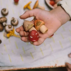 Mushroom Growe | 18 handbemalte Holzpilze
