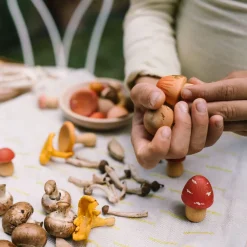 Mushroom Growe | 18 handbemalte Holzpilze