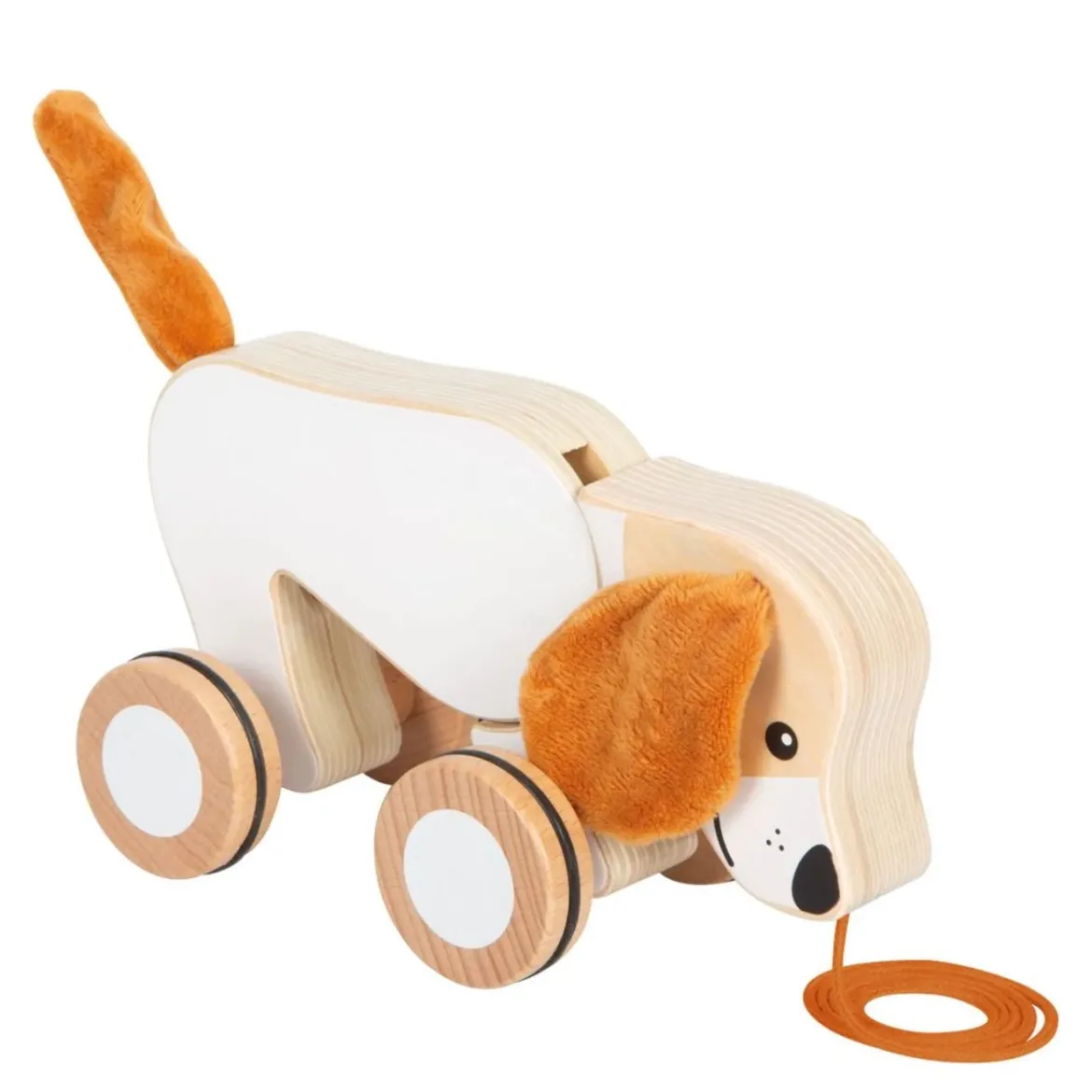 Nachziehtier Hund mit Knisterohren