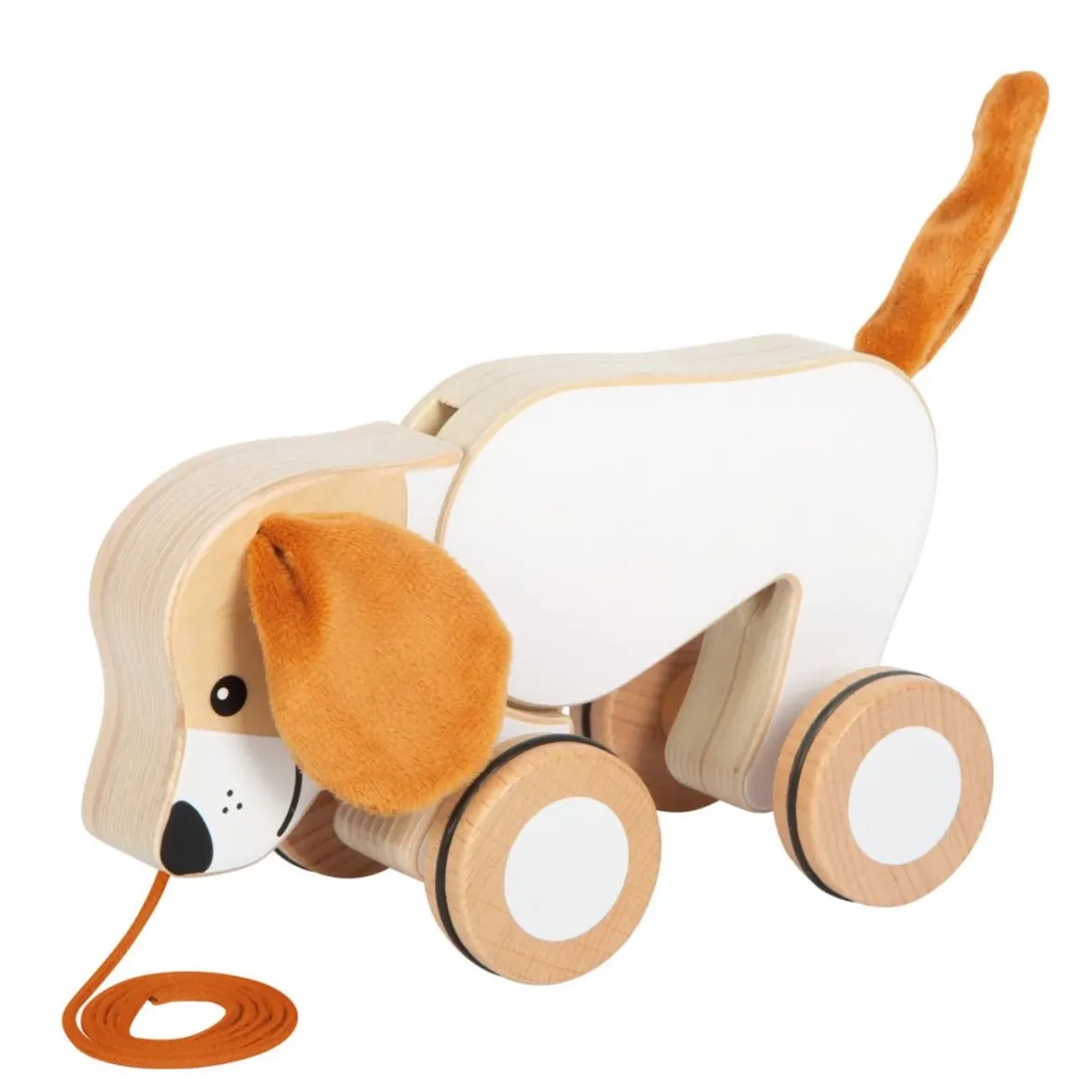 Nachziehtier Hund mit Knisterohren