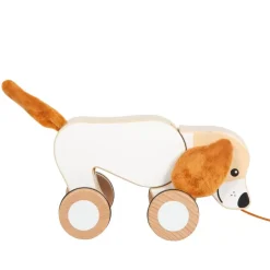 Nachziehtier Hund mit Knisterohren