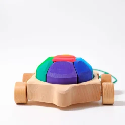 Nachziehtier | Regenbogen Schildkröte