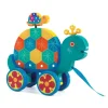Nachziehtier Schildkröte Gaspard