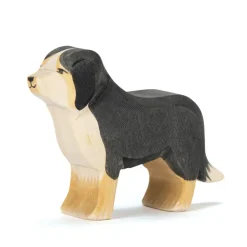 Ostheimer | Berner Sennenhund