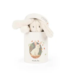 Plüschtier Hase Louison in Dose